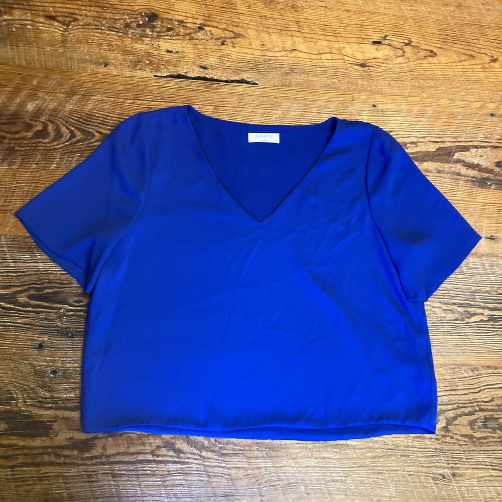 Aritzia Babaton Blouse